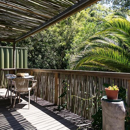 Camps Bay Forest Pods Kapstaden Eksteriør billede